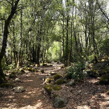 Des Deux Sorru Hotel Bains de Guagno