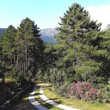 Hotel Des Deux Sorru