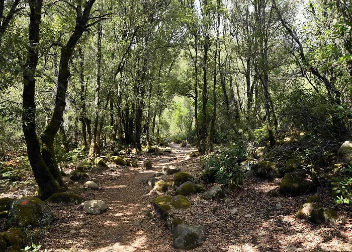 Des Deux Sorru فندق Bains de Guagno