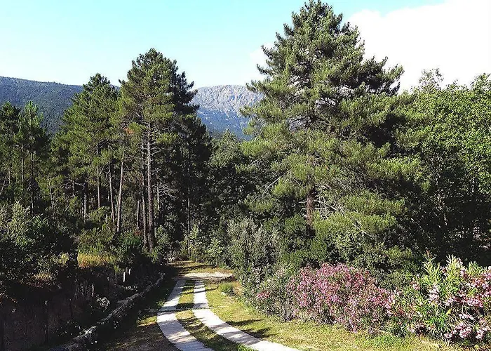 ホテル オーベルジュ デ ドゥー ソルー